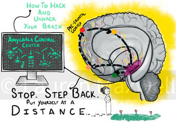 Using the Amygdala to hack your brain